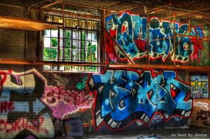 c57-3o-Color Amidst Chaos Graffiti Art in Abandoned Building in Atlanta.jpg